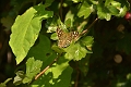27 09 11_1928_edited-1